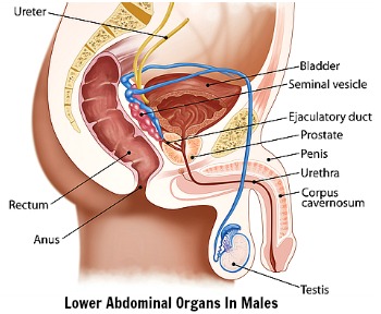 List of bad effects of steroids