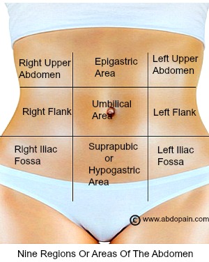 nine-regions-of-the-abdomen.jpg