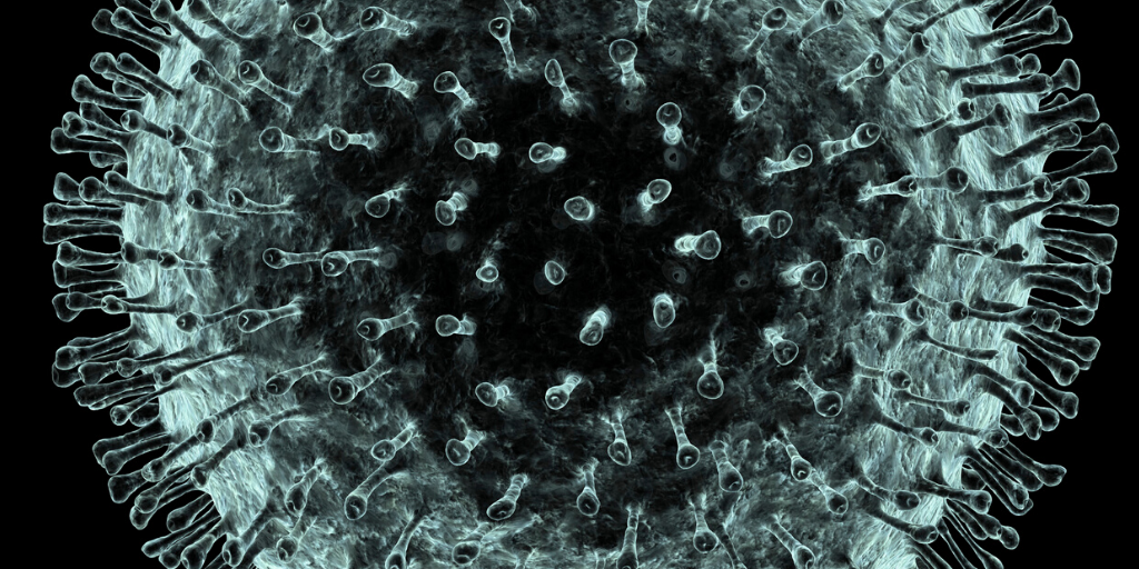 coronavirus