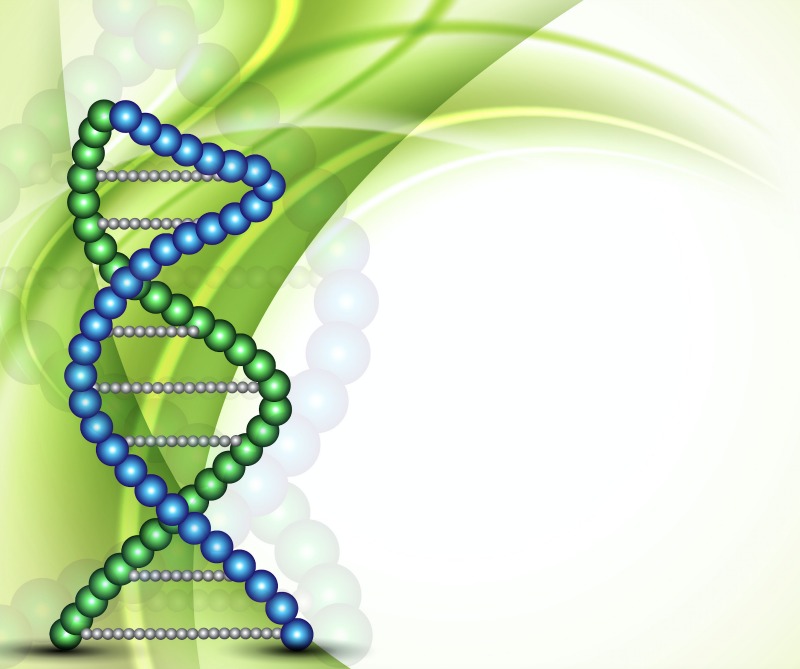 Hereditary hemochromatosis: Defect on Chromosome 6.