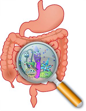 The Diagnosis of Appendicitis