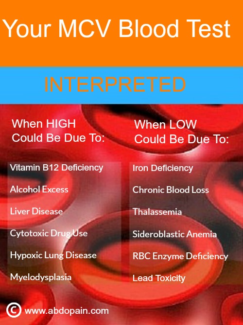 Your MCV blood test could tell you a lot about your health.