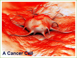 picture of cancer cell